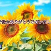 ヒメ日記 2026/08/23 22:18 投稿 ふみか 宮崎ちゃんこ都城店