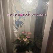 ヒメ日記 2026/08/25 00:25 投稿 ふみか 宮崎ちゃんこ都城店