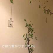 ヒメ日記 2026/08/26 12:25 投稿 ふみか 宮崎ちゃんこ都城店