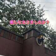 ヒメ日記 2026/08/27 12:33 投稿 ふみか 宮崎ちゃんこ都城店