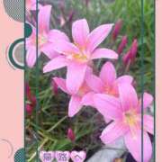 ヒメ日記 2026/09/11 01:35 投稿 ふみか 宮崎ちゃんこ都城店