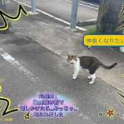 ヒメ日記 2026/09/11 20:25 投稿 ふみか 宮崎ちゃんこ都城店