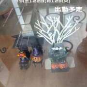 ヒメ日記 2026/09/17 08:15 投稿 ふみか 宮崎ちゃんこ都城店