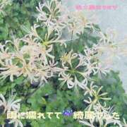 ヒメ日記 2026/09/18 16:15 投稿 ふみか 宮崎ちゃんこ都城店