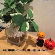 ヒメ日記 2026/09/18 18:05 投稿 ふみか 宮崎ちゃんこ都城店