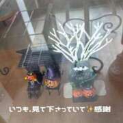 ヒメ日記 2026/09/22 23:35 投稿 ふみか 宮崎ちゃんこ都城店