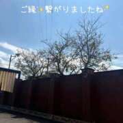 ヒメ日記 2026/09/24 11:15 投稿 ふみか 宮崎ちゃんこ都城店