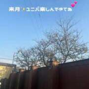 ヒメ日記 2026/09/26 21:35 投稿 ふみか 宮崎ちゃんこ都城店