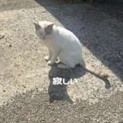 ヒメ日記 2026/10/03 15:45 投稿 ふみか 宮崎ちゃんこ都城店