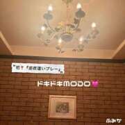 ヒメ日記 2026/10/04 12:35 投稿 ふみか 宮崎ちゃんこ都城店