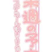 すみれ 来週の出勤💓 One More 奥様　西船橋店