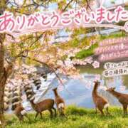 ヒメ日記 2026/10/02 22:30 投稿 ちはる 熟女総本店 堺東店