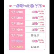ヒメ日記 2026/07/13 19:22 投稿 いと 桃李（とうり）