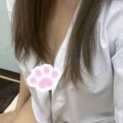ヒメ日記 2026/06/14 10:39 投稿 きさ 新宿・本格コスプレ素人アイドル学園イメクラ「新入生」