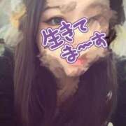 ヒメ日記 2026/07/07 14:08 投稿 るみか 京都BOOK MARK（ブックマーク）
