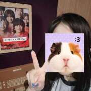 ヒメ日記 2026/07/09 10:18 投稿 天音ひとみ お姉さんLABO -艶-