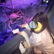 ヒメ日記 2026/09/21 17:47 投稿 あぐり 東京メンズボディクリニック TMBC 上野店