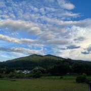 なごみ 15日お休みします😢 CECIL