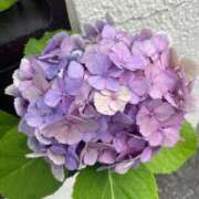 ヒメ日記 2026/09/05 06:18 投稿 なごみ CECIL