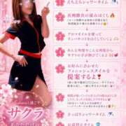 舞浜　サクラ Sakura'sMenu🌸 リラクゼーションサロン　le Cocon～ルココン～