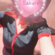 ヒメ日記 2026/08/14 08:42 投稿 舞浜　サクラ リラクゼーションサロン　le Cocon～ルココン～
