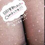 ヒメ日記 2026/06/14 20:02 投稿 まどか ぽちゃ巨乳専門　新大久保・新宿歌舞伎町ちゃんこ