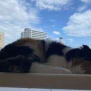 ヒメ日記 2026/06/20 11:47 投稿 いつき セレブクエスト-Kawagoe-