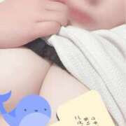 ヒメ日記 2026/07/19 14:48 投稿 はな 静岡駅前ちゃんこ