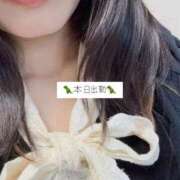 ヒメ日記 2026/08/11 11:24 投稿 明日香（あすか） NOA（ノア）