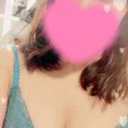 みお パリス503 M様❤️ CCキャッツ