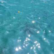 ヒメ日記 2026/08/04 11:24 投稿 山野 海 熟女・人妻マダム宮殿
