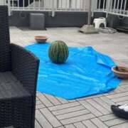 ヒメ日記 2026/08/04 13:19 投稿 ねる ロイヤルフラッシュ
