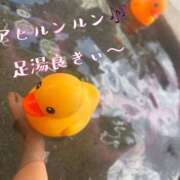ヒメ日記 2026/07/02 11:13 投稿 あかね 大和人妻城