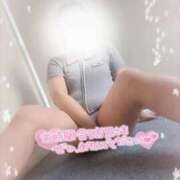 ヒメ日記 2026/06/14 12:15 投稿 ころも 姫マーケット