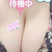 ヒメ日記 2026/07/12 13:06 投稿 菊池 BBW札幌店