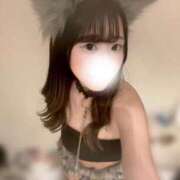 ヒメ日記 2026/06/12 11:03 投稿 うさ ルーフ福井