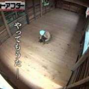 ヒメ日記 2026/06/21 14:22 投稿 エレナ ごほうびSPA 大阪店