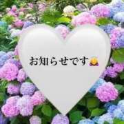 ヒメ日記 2026/06/17 14:48 投稿 めい 胡蝶蘭