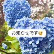 ヒメ日記 2026/06/27 16:26 投稿 めい 胡蝶蘭