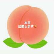 ヒメ日記 2026/08/17 08:22 投稿 めい 胡蝶蘭