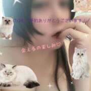 なぎ 濃密なじかん⏰ ミセスサマンサ
