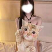 ヒメ日記 2026/07/20 14:36 投稿 雨夜すずね JKリフレ東京 錦糸町店