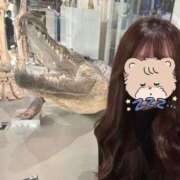 ヒメ日記 2026/06/20 13:44 投稿 西野こは JKリフレ東京 錦糸町店