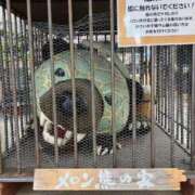 ヒメ日記 2026/09/18 17:56 投稿 葉月ゆう シロガネーゼ