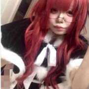 ヒメ日記 2026/07/02 20:22 投稿 赤毛猫みぃ にゃんだ☆full☆MIX（にゃんだふるみっくす）