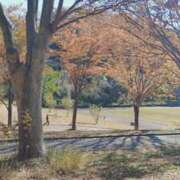 ヒメ日記 2026/10/04 17:45 投稿 青嶋はるき 若奥サマンサ（横浜ハレ系）