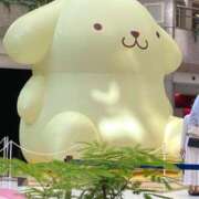 ヒメ日記 2026/06/26 14:59 投稿 川井みゆき 若奥サマンサ（横浜ハレ系）