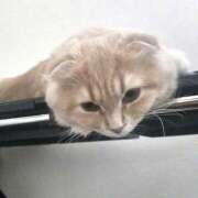 ヒメ日記 2026/08/01 21:55 投稿 ♡すず♡ Vacances（バカンス）