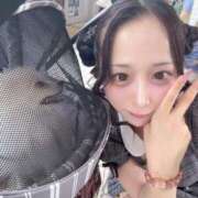 ヒメ日記 2026/09/11 11:26 投稿 ゆま VIPクリスタル