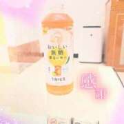 ヒメ日記 2026/08/24 05:54 投稿 藤咲　由香里 熟女パラダイス甲府店（カサブランカグループ）
